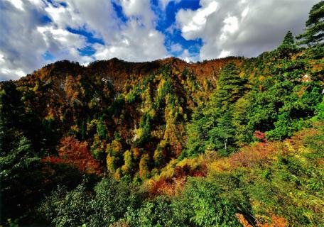 The Tsurube-Otoshi Pass【英語】：WEB（釣瓶落峠）